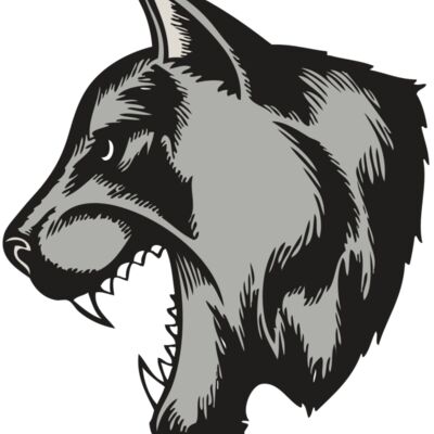 BAW COUG PANTH 06 RC Thumbnail